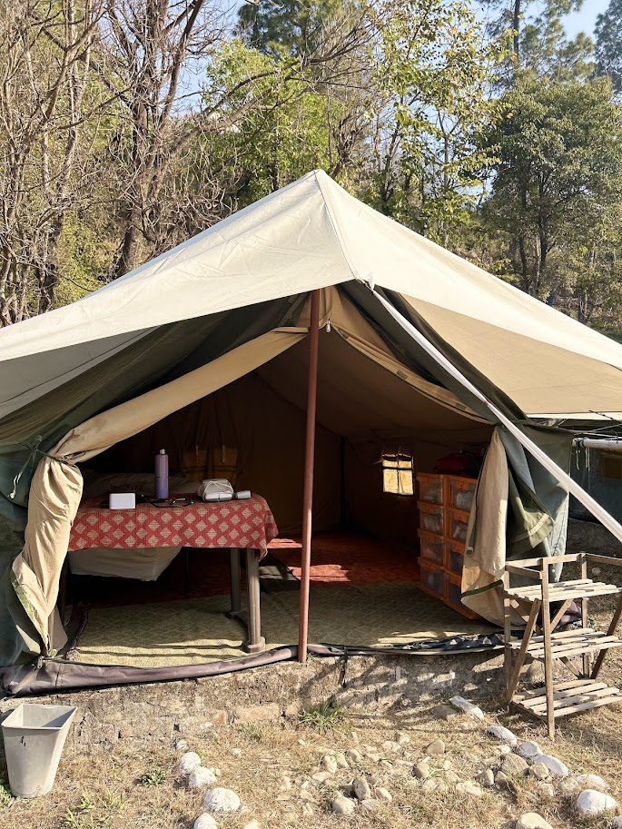 in-TENT-ionally basic