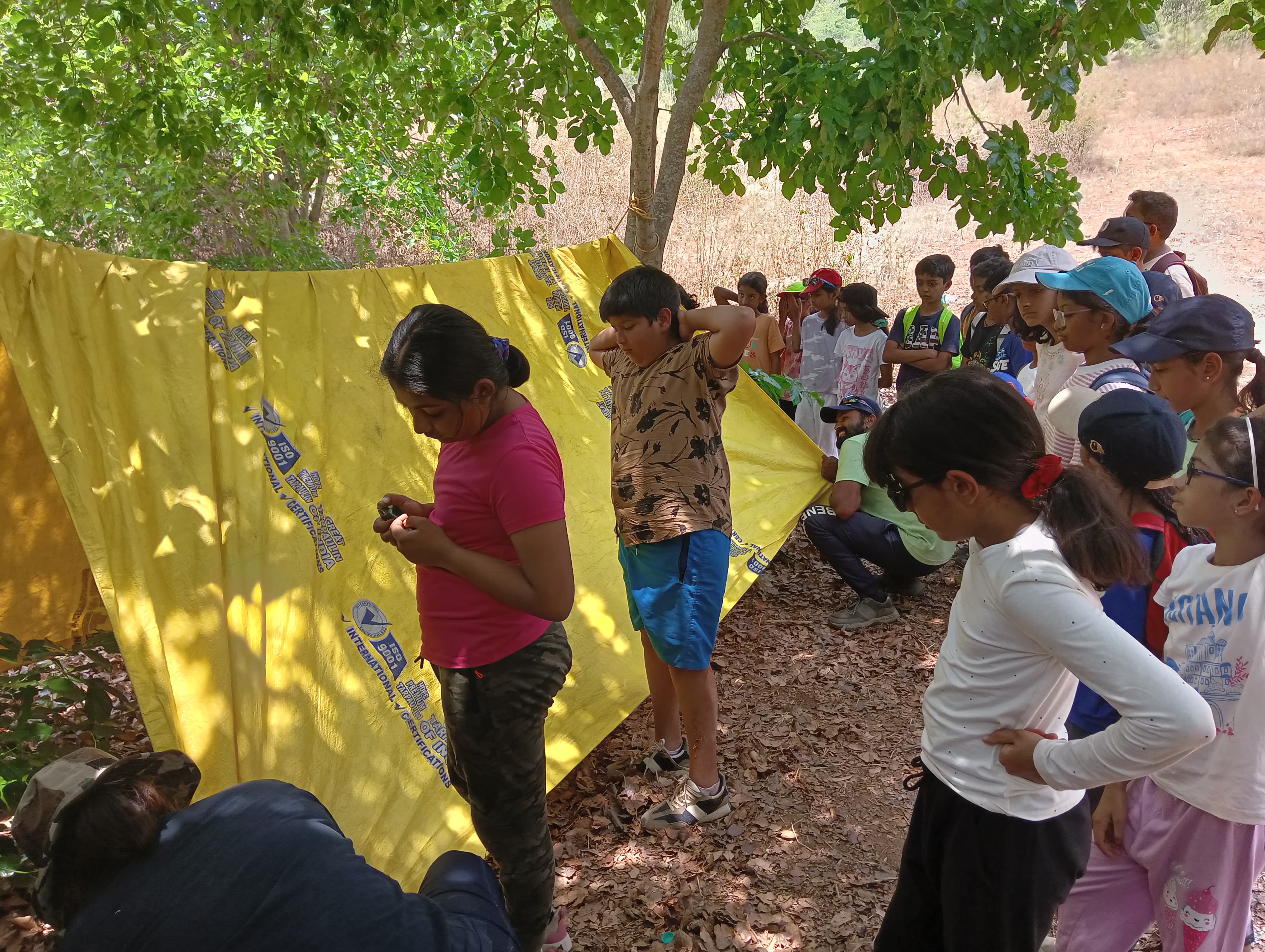 Rocks, Hilltop & History