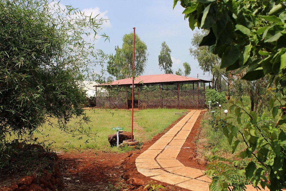 in-TENT-ionally basic