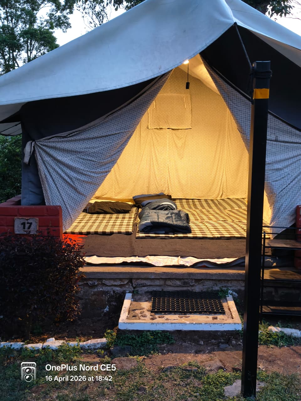 in-TENT-ionally basic