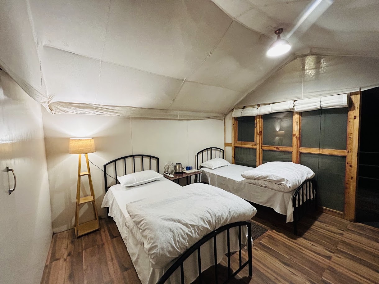 In-tent-ionally Basic