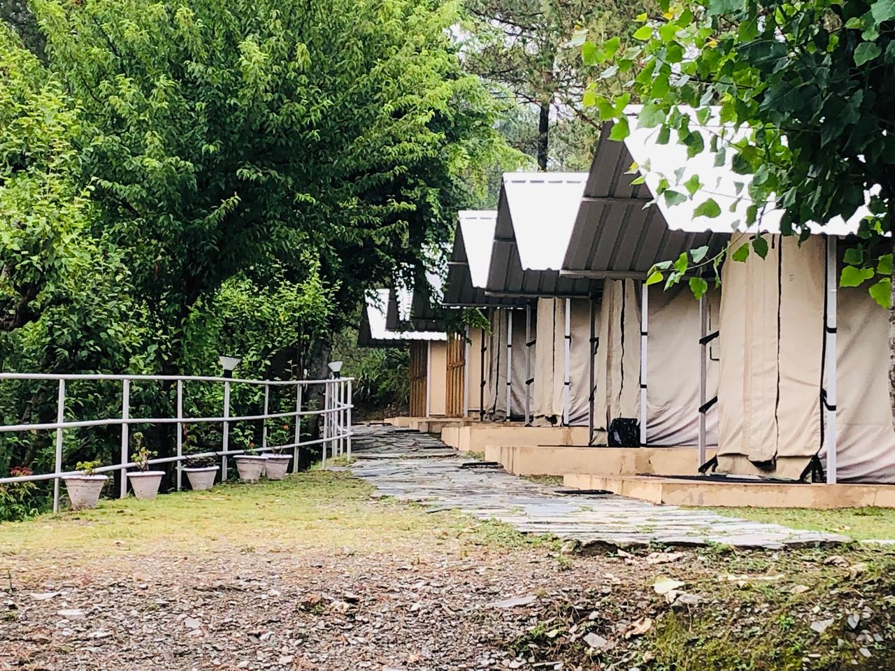 In-tent-ionally Basic