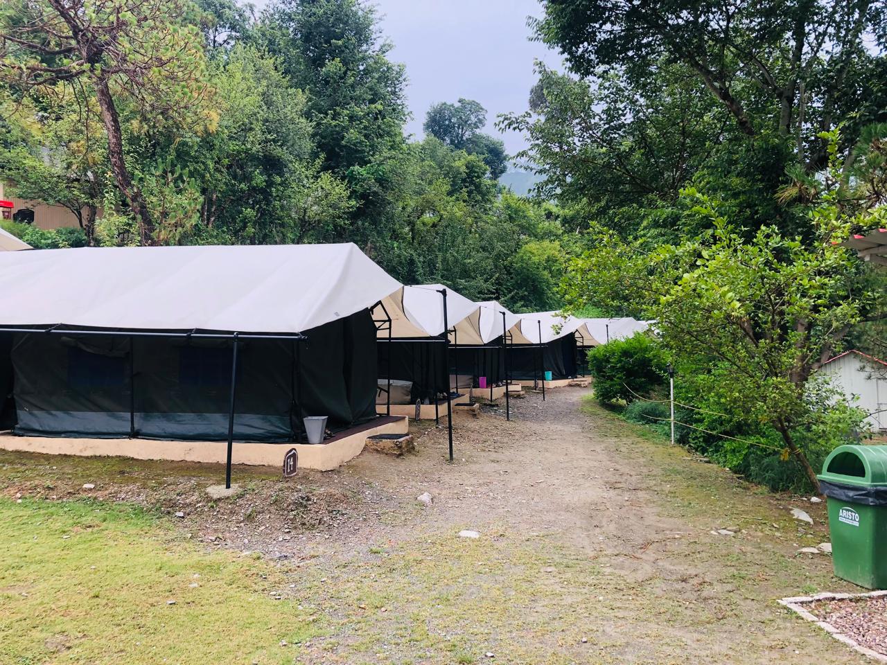 In-tent-ionally Basic