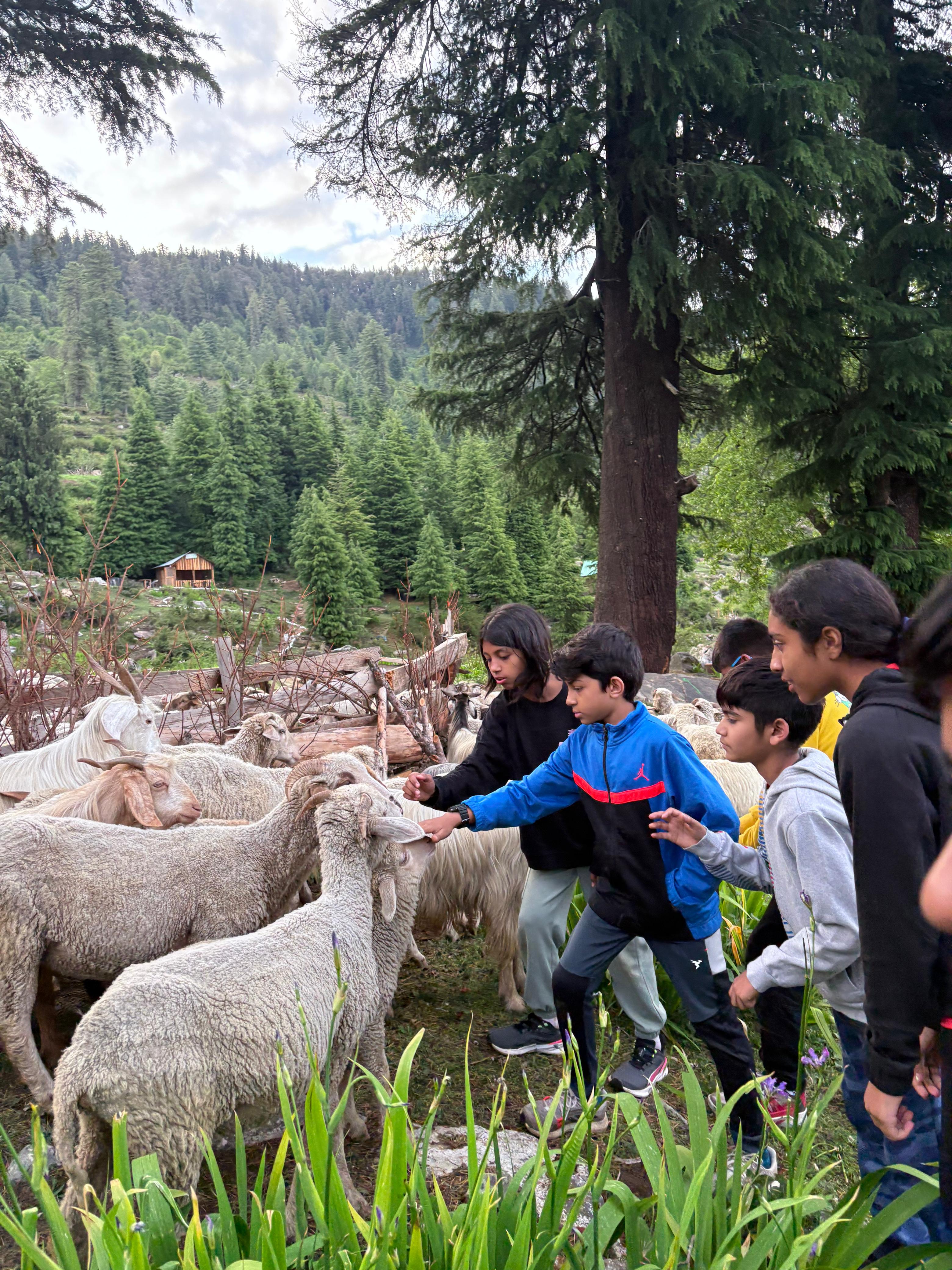 Step Up: River, Trail & Camp – Tirthan