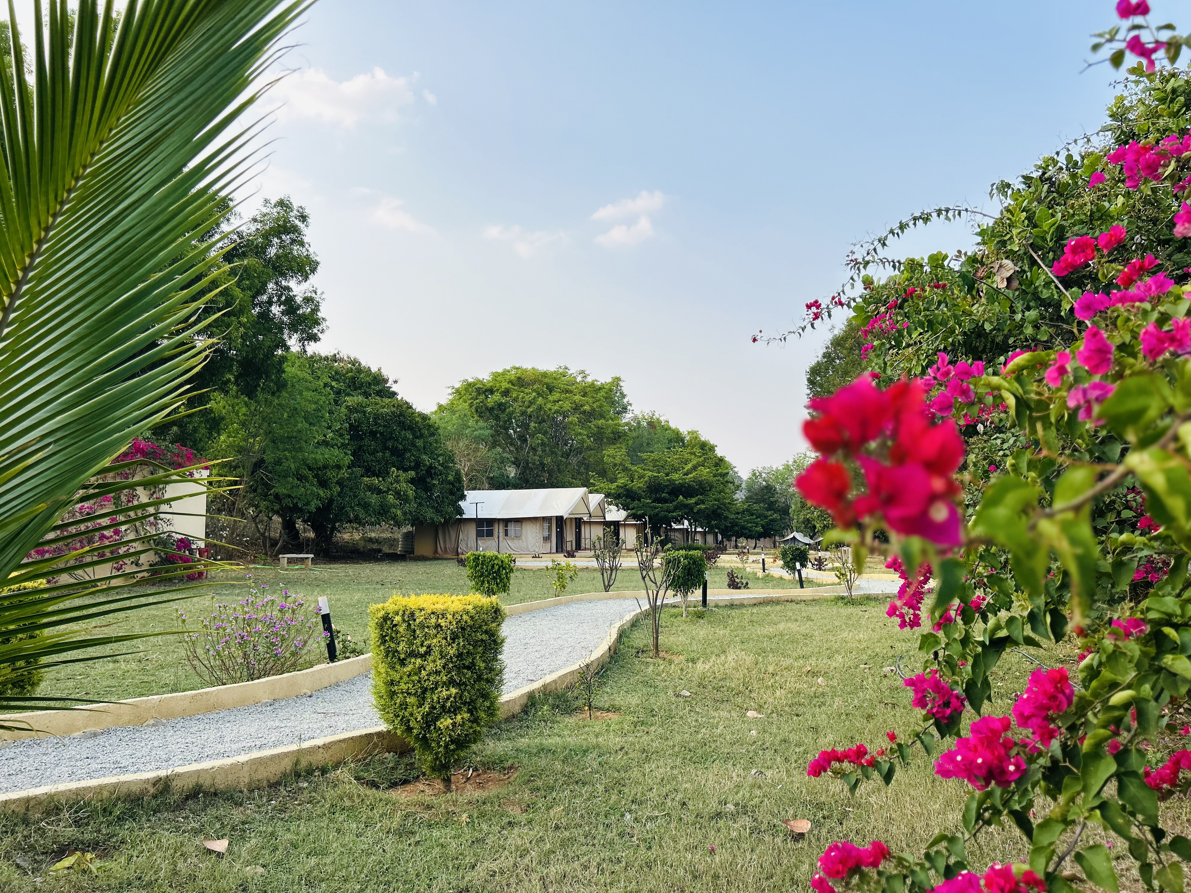Accommodation