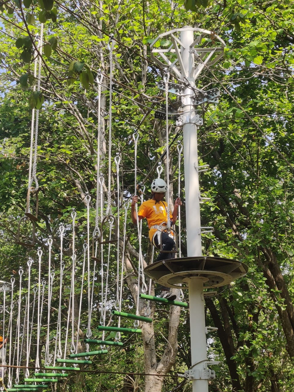 Whitewater to Highwire