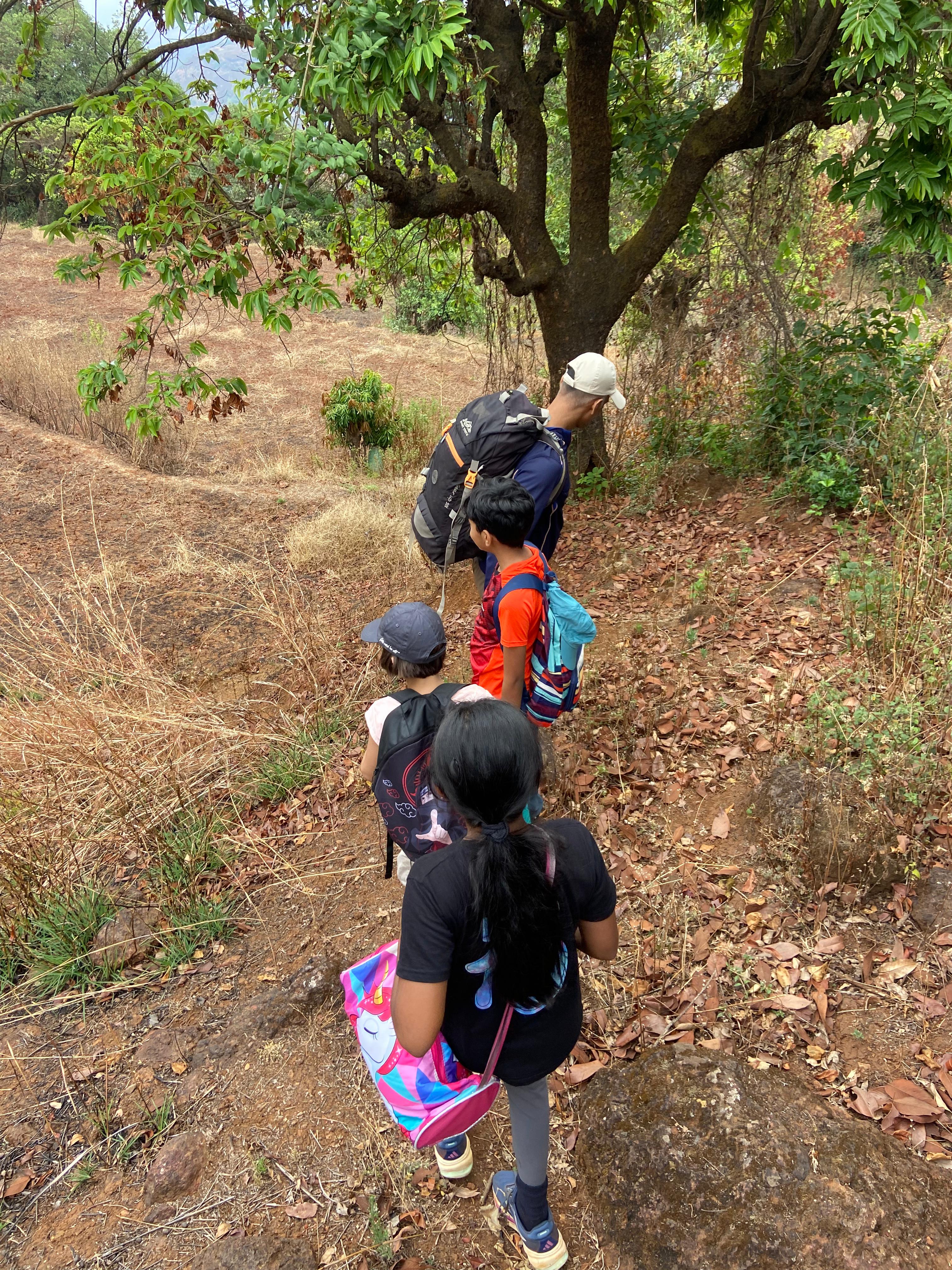 Step Up: Choose Your Challenge – Bhillar