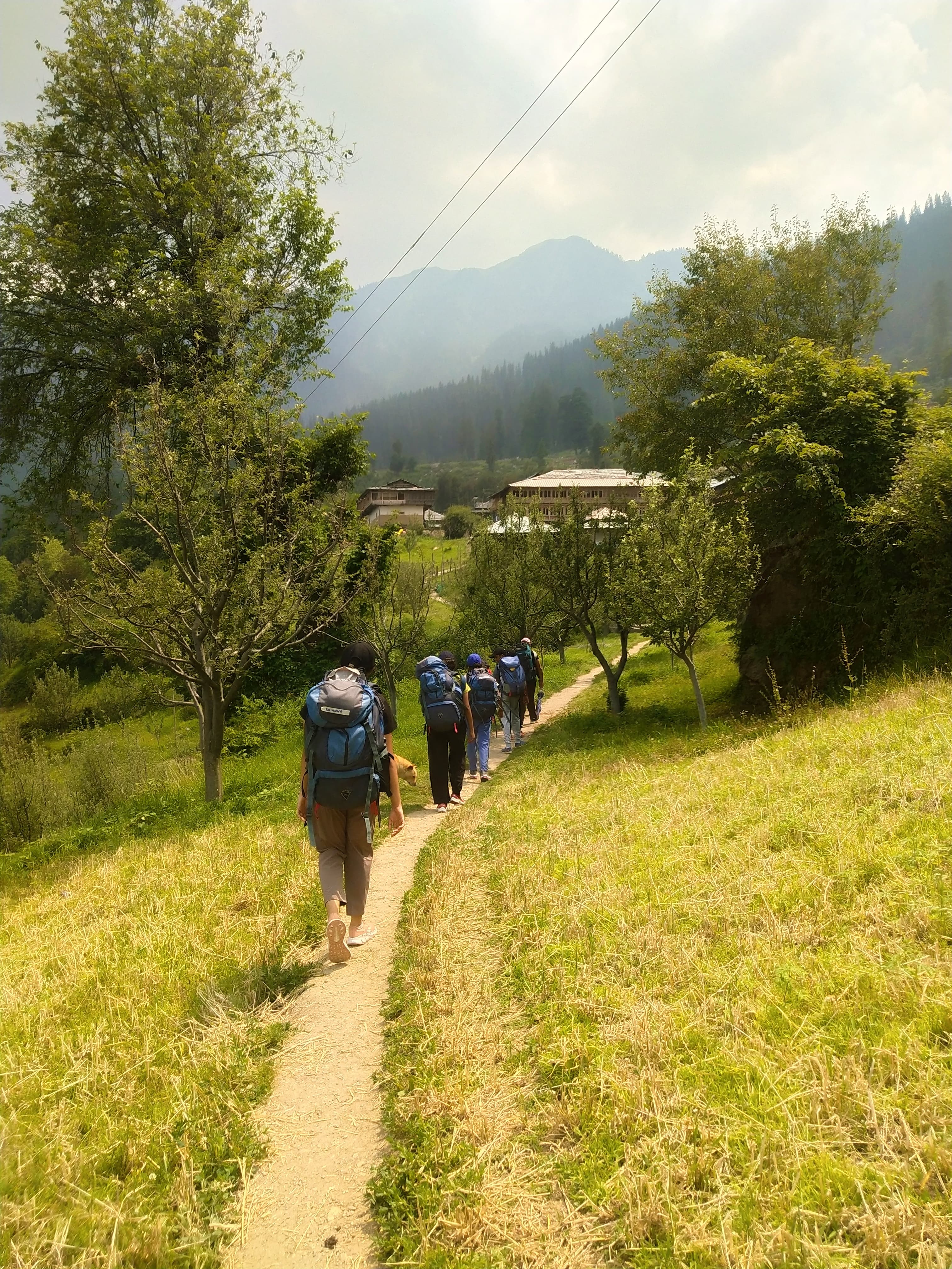 Step Up: River, Trail & Camp – Tirthan