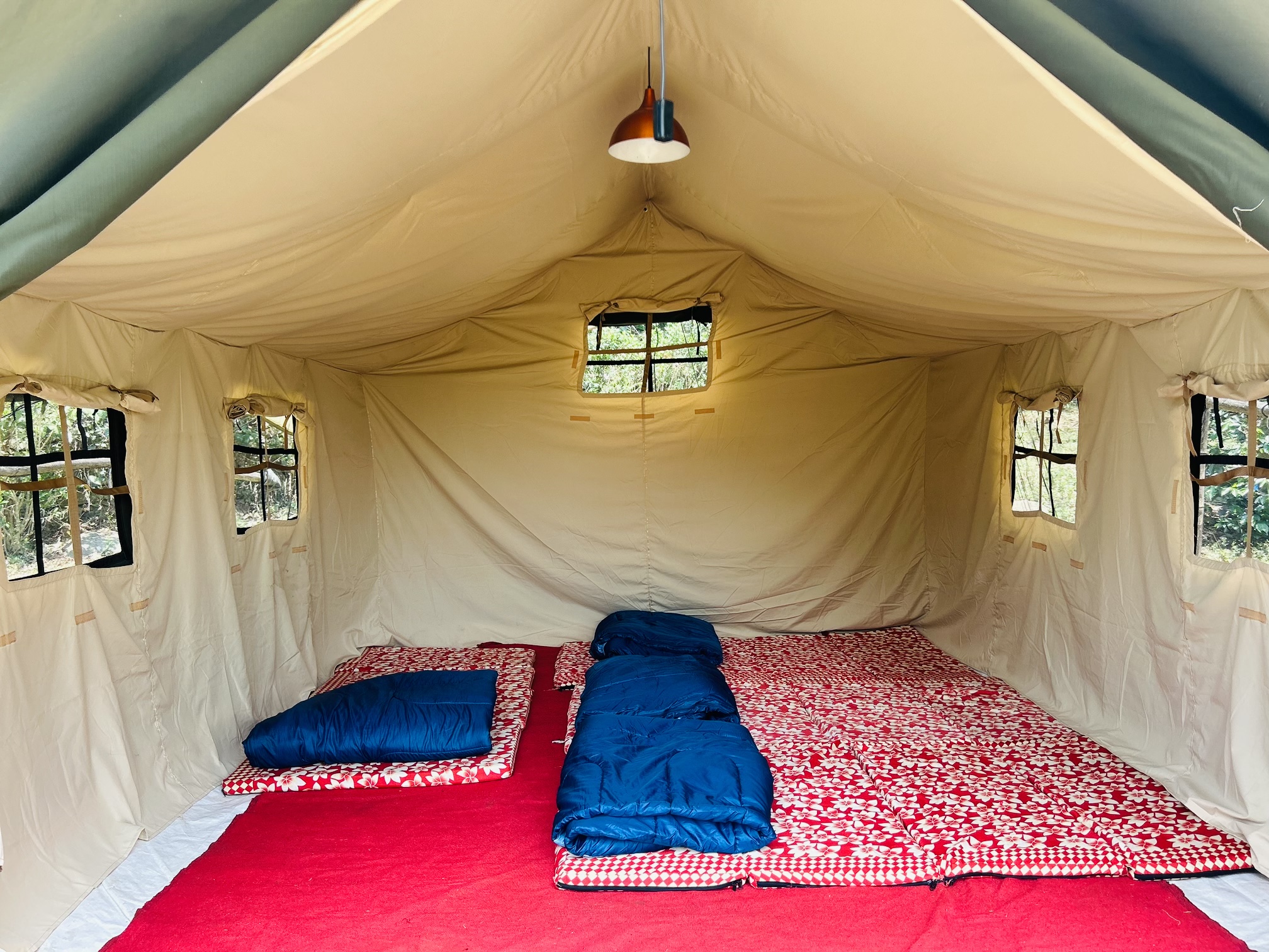 in-TENT-ionally basic