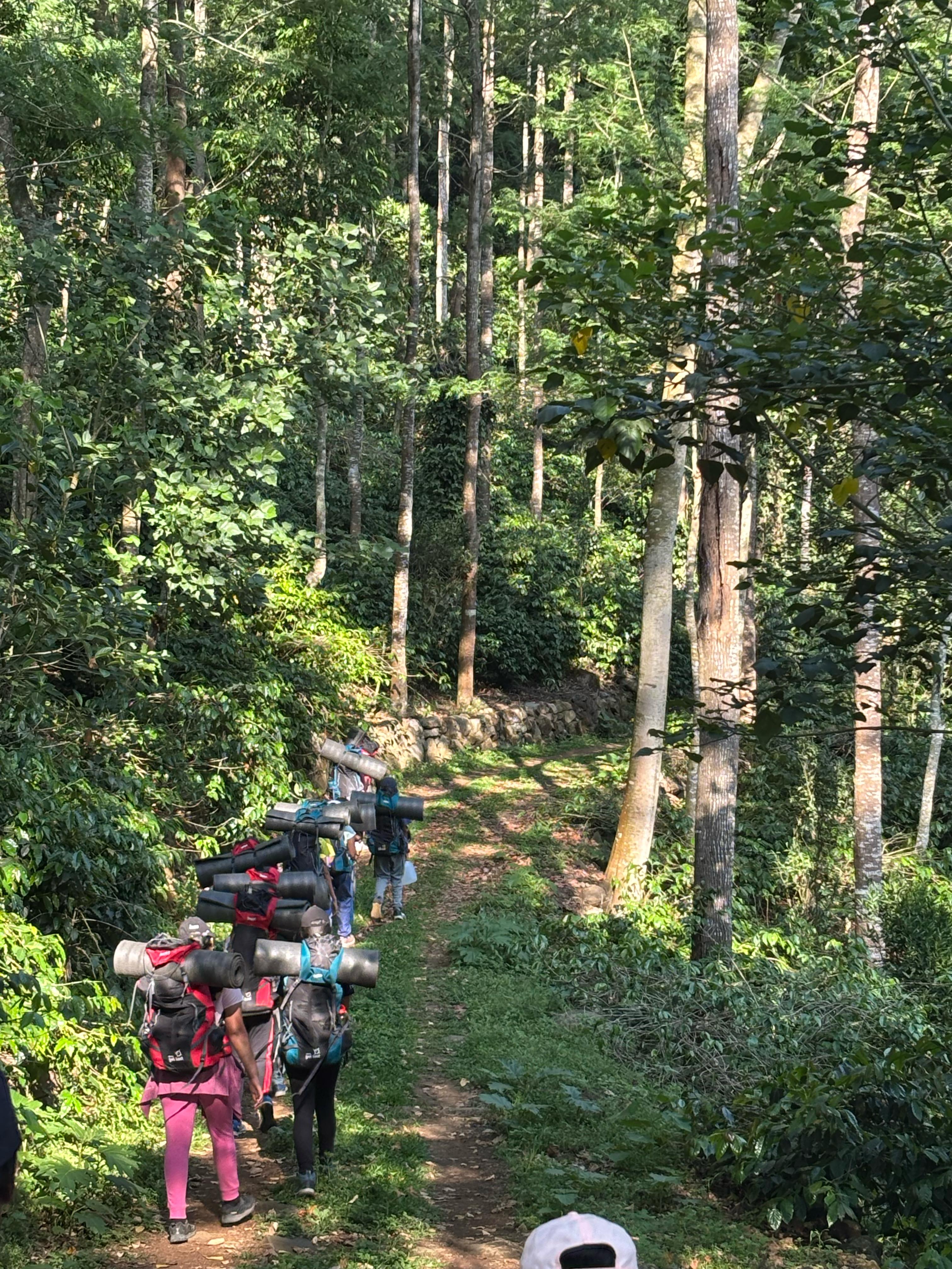 Step Up: Choose Your Adventure – Yercaud